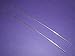 Pair of 6" Colloidal Silver Generator Wires 9999 Pure 12 Gauge by LifeForce Devices