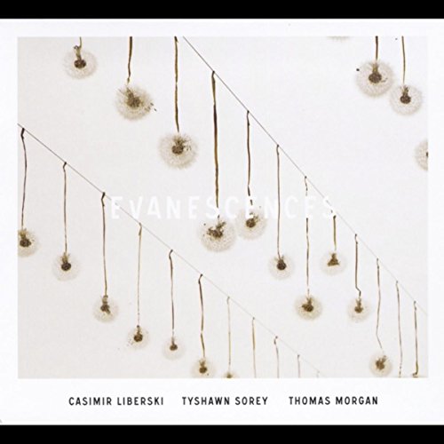 Casimir Liberski Trio - Evanescences