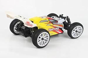 zd racing raptors