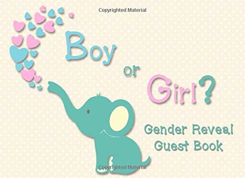guess the baby book