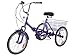 MOPHOTO Adult Folding Bike Tricycle 7 Speed 20 Inch Three Wheel Bike Cruiser Trike with Low-Step Through Frame/Large Basket/Adjustable Seat (Purple, 7-Speed, 20″ Folding Tricycle)thumb 1