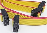 Connectors Pro 2-Pack 11" 28cm F/F IDC 2x5 10P