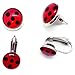 Miraculous Ladybug Earrings Charm Stud Stainless Steel Chat Noir Cosplay Costume Rena Rouge Volpina