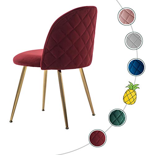 ZHENGHAO Velvet Accent Chairs for Living Room Set of 2 Tufted