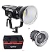 Aputure Light Storm LS C120d II COB 120D Mark 2 + Fresnel Mount 180W 5500K LED Continuous Video Light CRI96+ TLCI97+ Bowens Mount,The Ultimate Upgrade,Support DMX,5 Pre-Programmed Lighting Effects