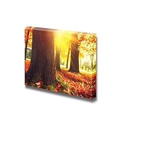 Canvas Prints Wall Art - Autumnal Park. Autumn Trees and Leaves in Sun Light | Modern Wall Decor/Home Decoration Stretched Gallery Canvas Wrap Giclee Print. Ready to Hang - 12" x 18"