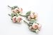 Yokoke Pink Groom Boutonniere with Pin, Artificial Succulent Plants Best Man Boutineers Buttonholes Corsage Bouquet Silk Flowers for Wedding Prom Man Suit Decor 4 Pcs