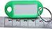 Hotel Key Labels Organizer - LeBeila 100 Plastic Key Tags with Label Window, Metal Split Ring and Writable Blank Paper Tags Reusable Id Identifiers for Office/House Keys, Luggage, Keychains (Green)