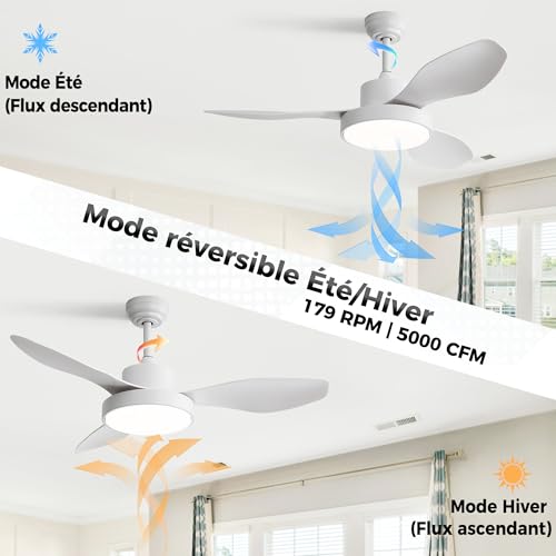 OZEANOS Ceiling Fan with Dimmable LED Light, Silent Ceiling Fan with Remote Control, 6 Speed, DC Motor, 3 Temperatures, Summer/Winter Function for Living Room and Bedroom (120cm)