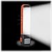 Energizer LED AA Flashlight and Lantern, Compact and Water-Resistant 2-in-1 Light (Batteries Included)