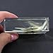 REALBUG Angel Fish Paperweight (2.9x1.6x1)