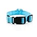Safety Dog LED Collar Flashing Light up, Glow and bright (Ships From USA) (Medium, Blue)