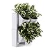 T4U Plastic Self Watering Vertical Living Wall Planter Set White Pack of 2, Stackble Wall Mounted for Indoor Outdoor Herb Vegetable Flower Plantthumb 1