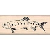 Stamps by Impression Trout Fish Rubber Stamp - 2.5" Block