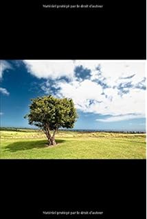 Amazonfr Concepts Fondamentaux De La Kabbale Elargissez - 