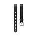 ZSZCXD Newest Replacement Wristband with Watch Buckle Design for Fitbit Alta HR and Alta (No Tracker) (Black)