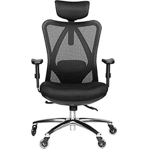 Duramont Ergonomic Office Chair – Adjustable Desk Chair with Lumbar Support and Rollerblade Wheels – High Back Chairs…