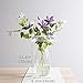 CASAMOTION Vases Hand Blown Art Glass Vase, Oxygen Bubbles Seeded Centerpiece Vases for Flower Arrangement, Clear, 12''h.
