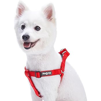 Blueberry Pet Essentials 19 Colors Step-in Classic Dog Harness, Chest Girth 20