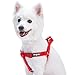 Blueberry Pet Essentials Large Dog Harness | Adjustable Classic Solid Nylon No Pull Easy Walk Step in Harness | Rouge Red