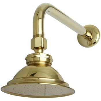 amazon brass shower head