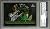 2010 PP Premium Danica Patrick Signed RC Rookie Trading Card Slabbed - PSA/DNA Certified - Autographed NASCAR Cards
