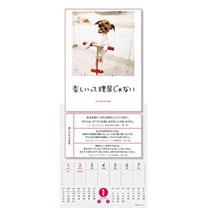 Jinse Ha Wammoa ChansuI 2017 [Japan Calendar] 17CL-0369