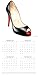 2017 Monthly Shoes Wall Calendar - Beautiful Photographs of Glamorous Stylish Runway Fashion Pumps, High Heels, & Shoes - 16 Month Calendar, Multicolor, 12