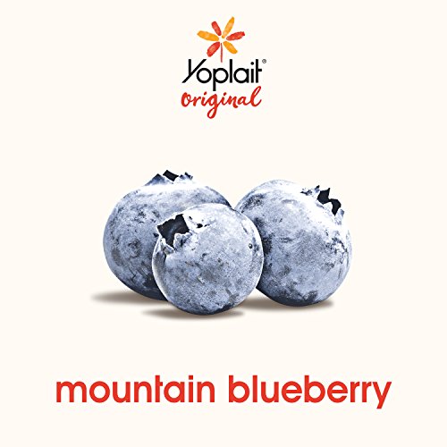 Yoplait Original Yogurt Mountain Blueberry 6.0 oz Cup - Thumbnail 3