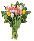 Stargazer Barn- Rainbow Bouquet -30 Stems Of Fresh