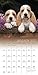 Puppies 2017 Calendar: Includes Downloadable Wallpaper
