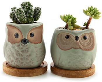 ComSaf 6.5CM Ceramic Owl Succulent Cactus Planter Pot Set with Bamboo Tray - Glaze Light Green, Pack of 2, Home and Office Decoration Desktop Windowsill Bonsai Pots Gift Wedding Birthday Christmas