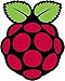 Raspberry Pi 16GB Preloaded (NOOBS) SD Card, Pre-installed, Class 10 - Raspberry Pi Recovery System (1 Pack) 'Packaging May Vary'