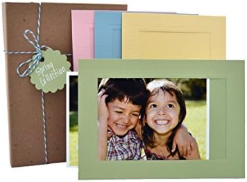 24 Photo Insert Note Cards Collections by Plymouth Cards (Spring)
