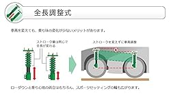 Tein VSY20-C1SS3 Flex Z Coilover Kit for Lexus IS300