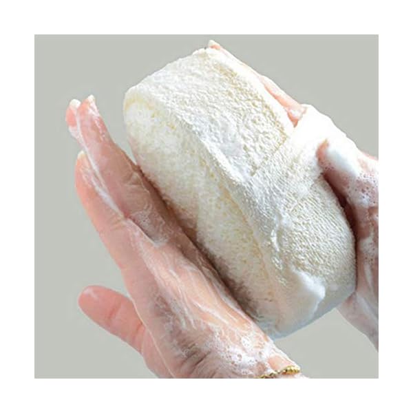 Natural Loofahs Sponge, 2Pcs Soft Exfoliating Bathing Shower Loofah Scrubber Brush for Men and Women for Hot Spring Bath…