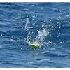 Turbo-Teaser-Bird-Yellow-Saltwater-Fishing-Lure-for-Tuna-Mahi-Wahoo-Marlin