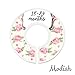 Modish Labels Baby Clothes Size Dividers, Baby Closet Organizers, Size Dividers, Baby Closet Organizers, Closet Dividers, Clothes Organizer, Nursery Décor, Girl, Flowers, Shabby Chic (Baby)