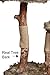 Pet Control HQ Cat Tree Condo 39 Inch Tall Scratcher Post Pet Bed Furniture, Authentic Pear Tree Bark Post with Activity House w/Scratching Sisal, Spacious Perch and Interactive Toy, Brownthumb 2