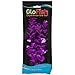 GloFish Large, Galactic Purple Moneywort Plant