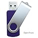 Enfain Purple Flash Drive 16GB USB Memory Stick Drives 10 Pack for Distributing, Sharing Data of Work and Life in a Special Color