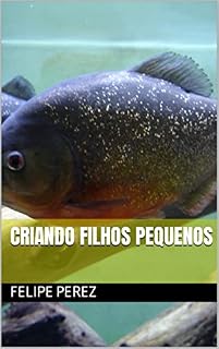 Livro Criando Filhos Pequenos