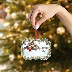 Greek Tortoise Christmas Ornament 2024
