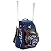 EASTON WALK-OFF IV Bat & Equipment Backpack Bag, Stars N Stripes