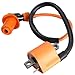 Amhousejoy High Racing Ignition Coil Fit for Yamaha YFS200 Blaster Atv 1988-2006