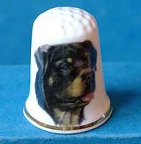 Porcelain China Collectable Thimble -- Rottweiller Dog