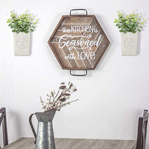 LESEN Set of 2 Farmhouse Metal Wall Planter,Rustic Wall Decor Country