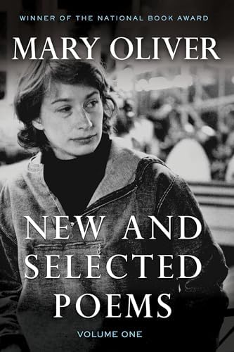 Dawn Dolls: Official Encyclopedia & Price Guide: Schwartz, Benita