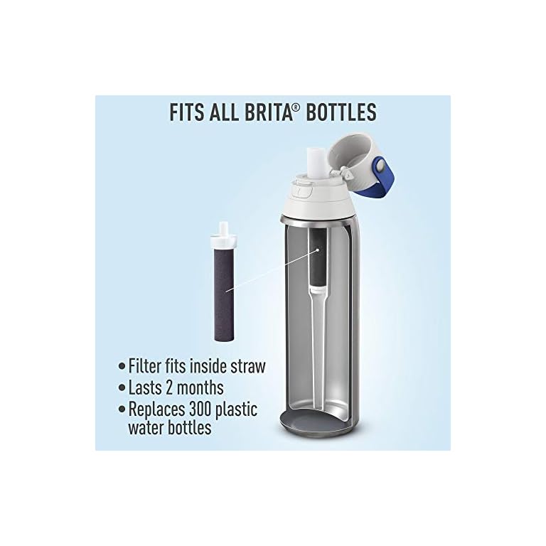 When Should I Change My Brita Water Bottle Filter at James Knight blog