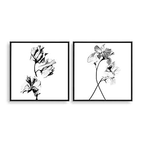 2 Piece Framed Canvas Home Artwork Decoration Transparent Flower Canvas Wall Art for Living Room, Bedroom - 16"x16"x2 Panels